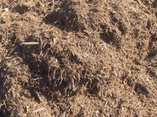 forestmulch