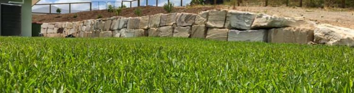 turf 2