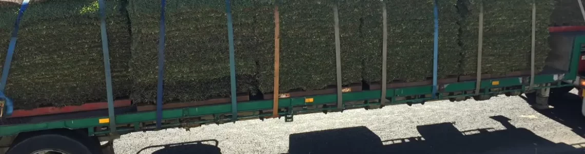 turf 3